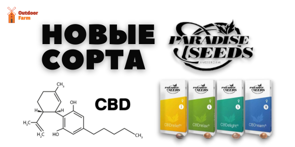 Новые сорта от Paradise Seeds!