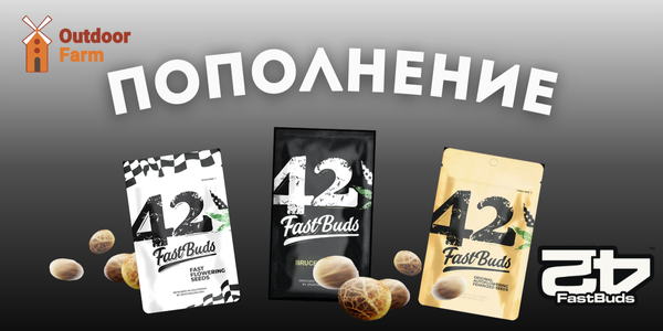 Пополнение на складе!