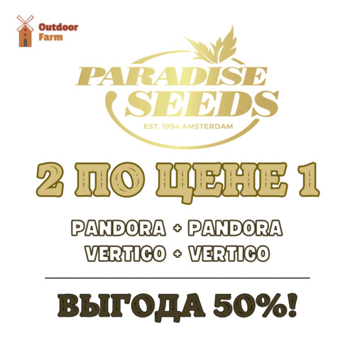 Вторая пачка на 3 seeds бесплатно!