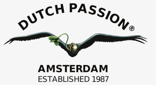 Новинки от Dutch Passion
