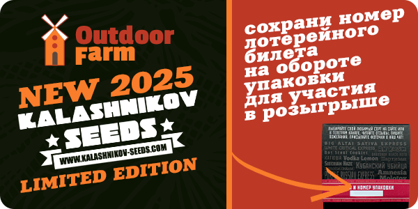 Лимитированная линейка сортов от Kalashnikov Seeds!