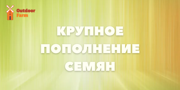 Свежее пополнение!